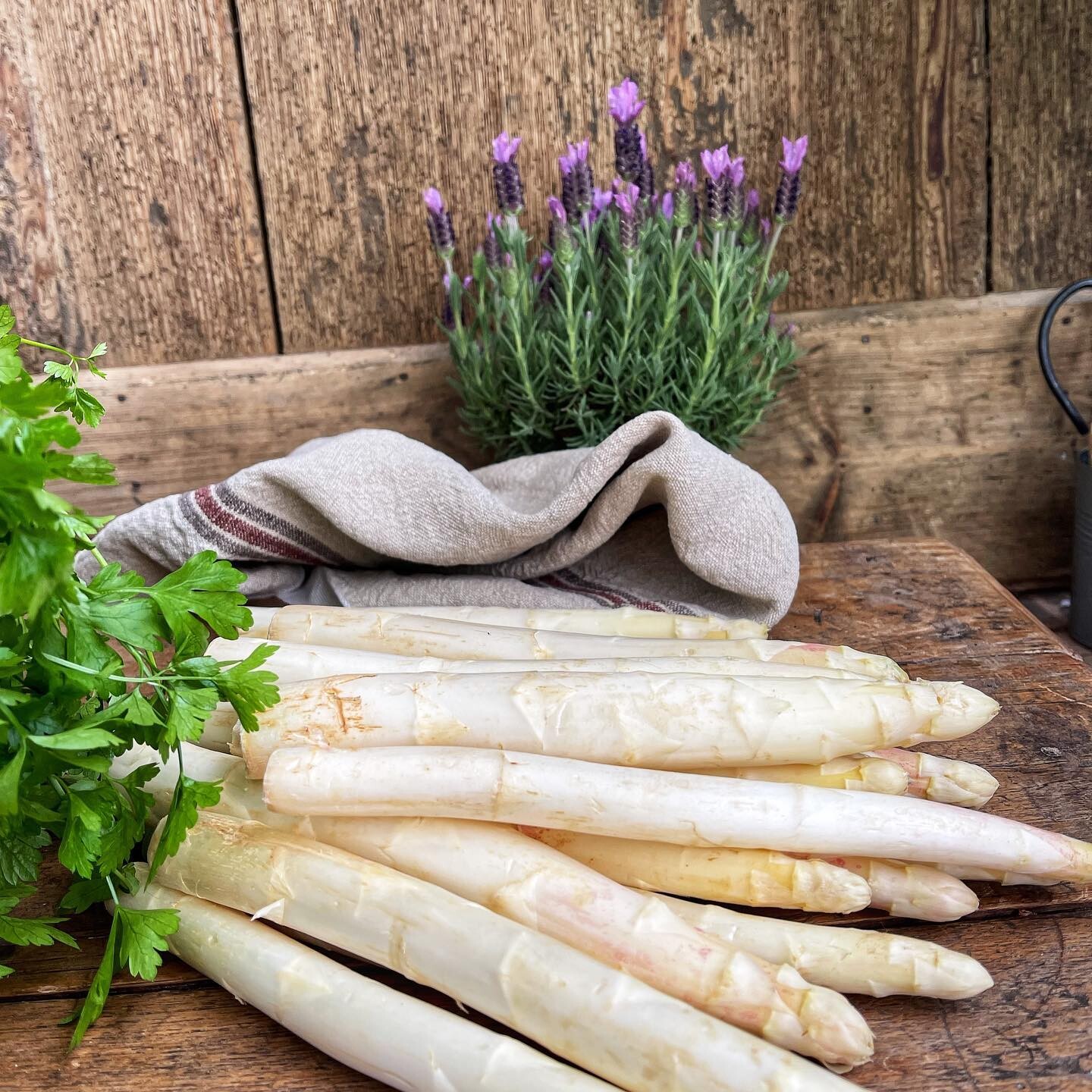 Top Spargel essen in Köln | Haus Müller | Mr. Köln | Foto: Haus Müller